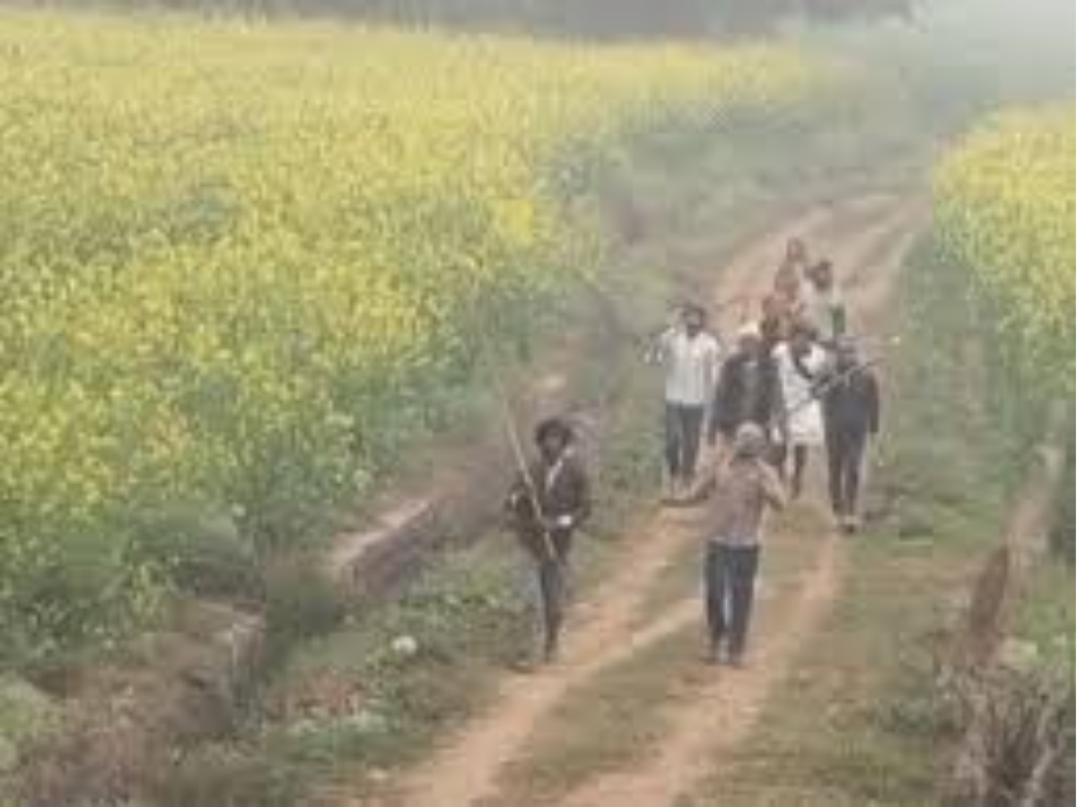 मुरैना में दबंगों ने दलित परिवार पर की फायरिंग,5 घायल