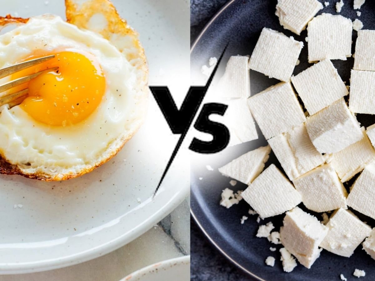 Egg vs Paneer Protein: जानिए अंडा और पनीर दोनों में से किसमें है ज्यादा प्रोटीन?