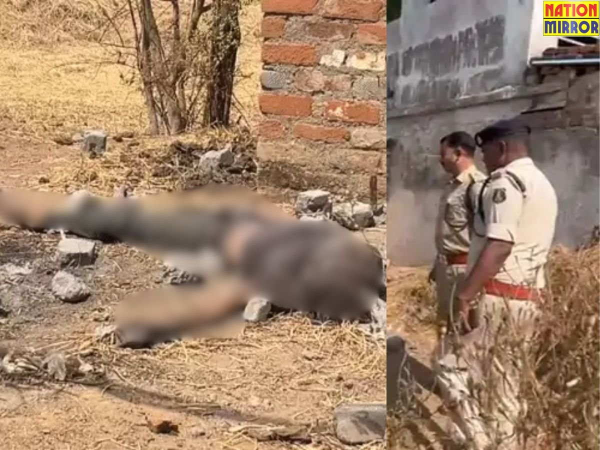 Friend Muder News CG: मोबाइल पासवर्ड बना मौत की वजह, दोस्त ने की दोस्त की हत्या!