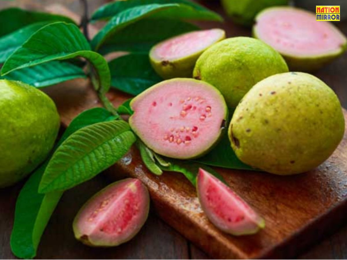 Guava Health Precautions: जानिए किन लोगों को अमरुद खाने से करना चाहिए परहेज...