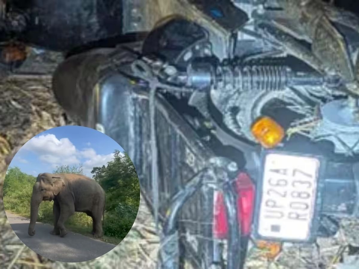 हल्द्वानी में हाथी से टकराई बाइक, 2 सगे भाईयों की मौत