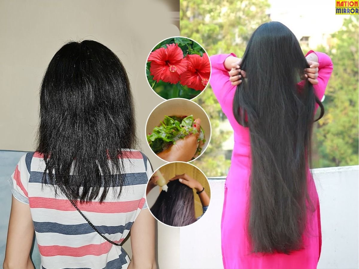 Hibiscus For Hair Growth: बालों की ग्रोथ बढ़ाने का सबसे आसान तरीका! अजमाएं ये एक फूल...