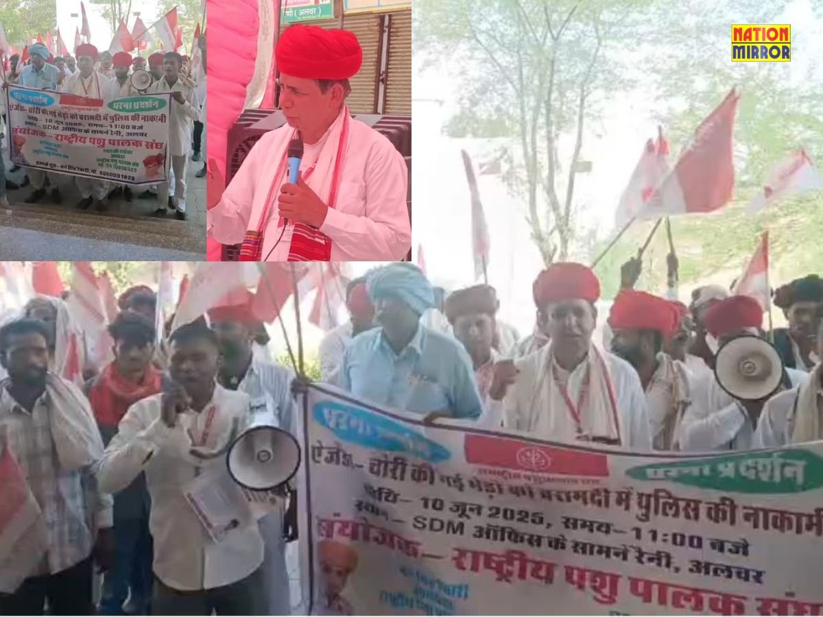 अलवर में भेड़ चोरी के खिलाफ पशुपालकों का आक्रोश, एसडीएम कार्यालय के सामने धरना