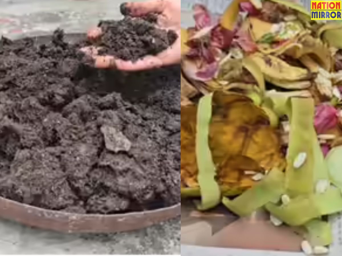 Kitchen Waste Usefull: केले के छिलके को फेंकने से पहले पढ़ ले ये खबर!