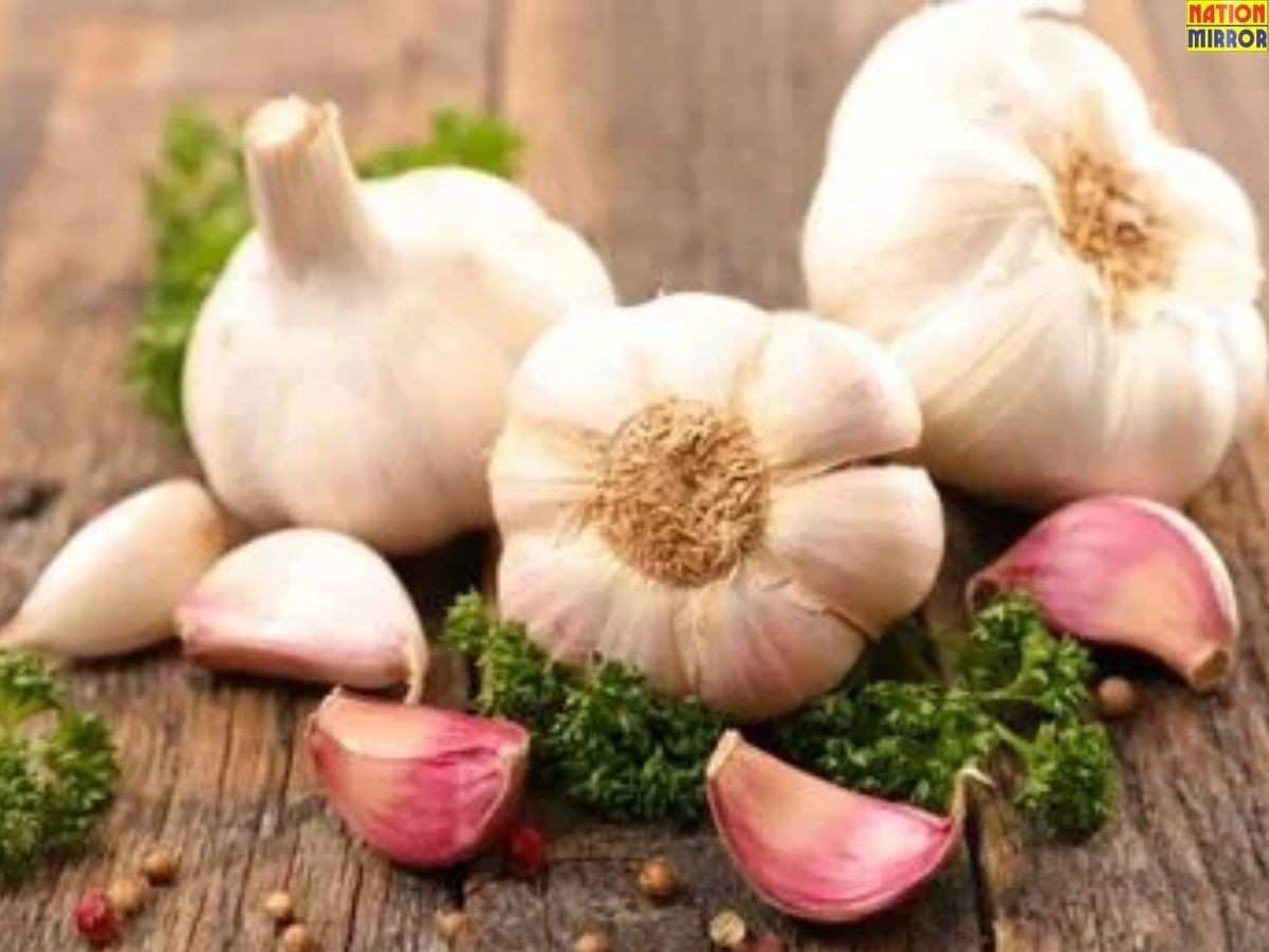 ठंड में लहसुन का करें सेवन मिलेंगे अनेकों फायदे, जानिए खाने का सही तरीका...