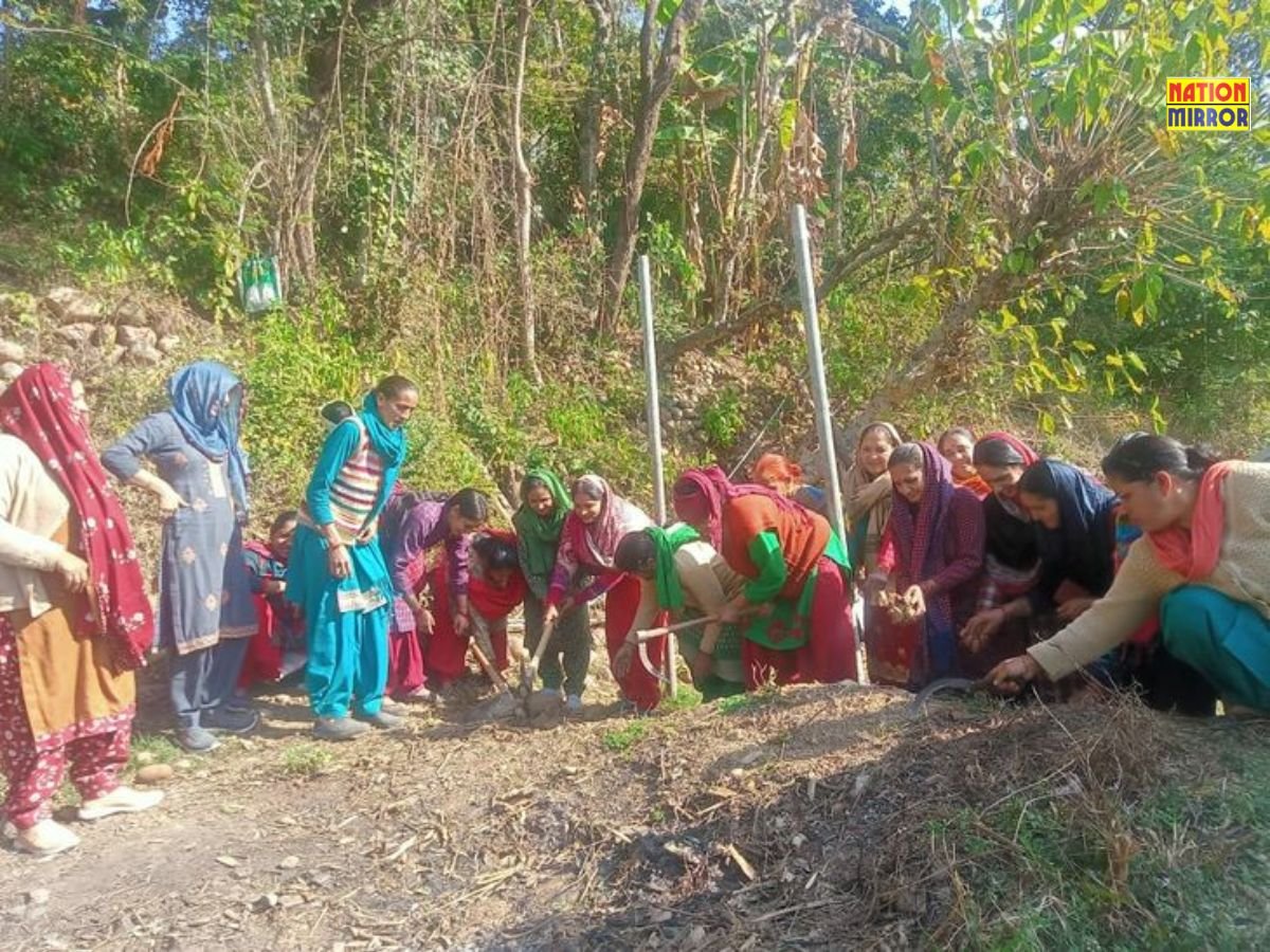 हमीरपुर: एझी ग्राम पंचायत में मनरेगा घोटाला, 187 मजदूरों की फर्जी डिमांड