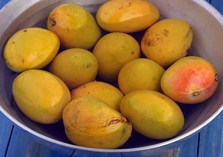 Soak Mango: क्यों आपको खाने से पहले आम को पानी में भिगोना चाहिए