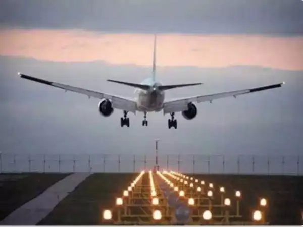 Surat Airport bee attack delay: सूरत एयरपोर्ट पर मधुमक्खियों का हमला, जयपुर के लिए उड़ान में देरी