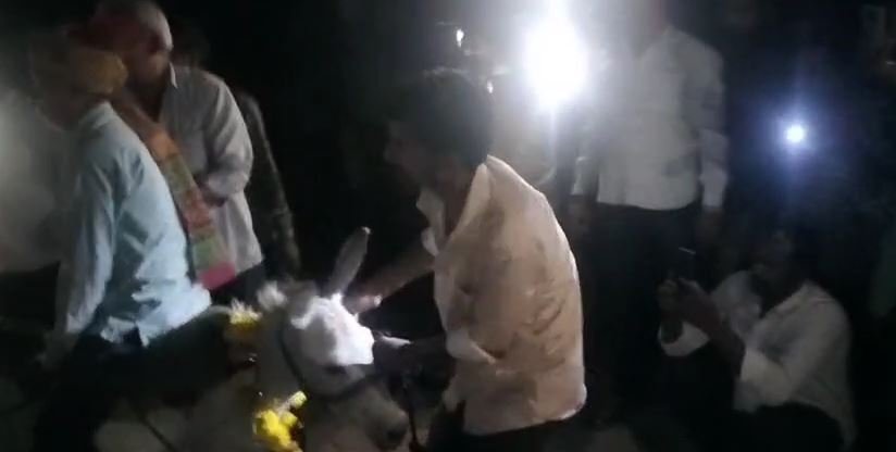 Unique rain ritual India: बारिश के लिए अनोखा टोटका... गधे पर उल्टा बैठाकर आधी रात श्मशान के लगाए चक्कर