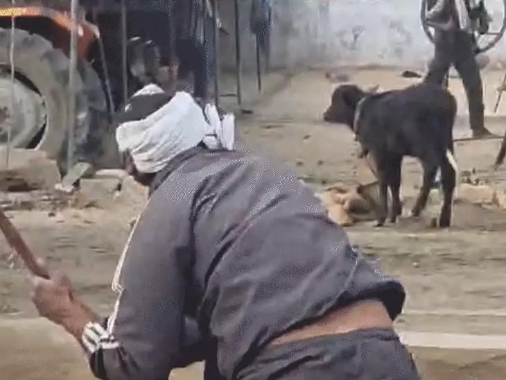 Morena Violence: दो पक्षों में पथराव और झड़प का वीडियो वायरल