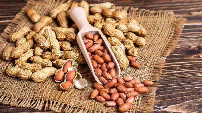 सर्दियों में रोज़ मूंगफली खाने से मिलते हैं ये जबरदस्त फायदे