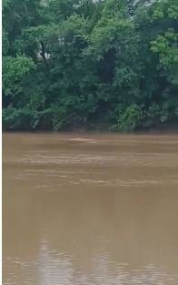Crocodile attack in Damoh Byarma River: दमोह में ब्यारमा नदी में मगरमच्छ ने महिला को बनाया शिकार, इलाके में दहशत