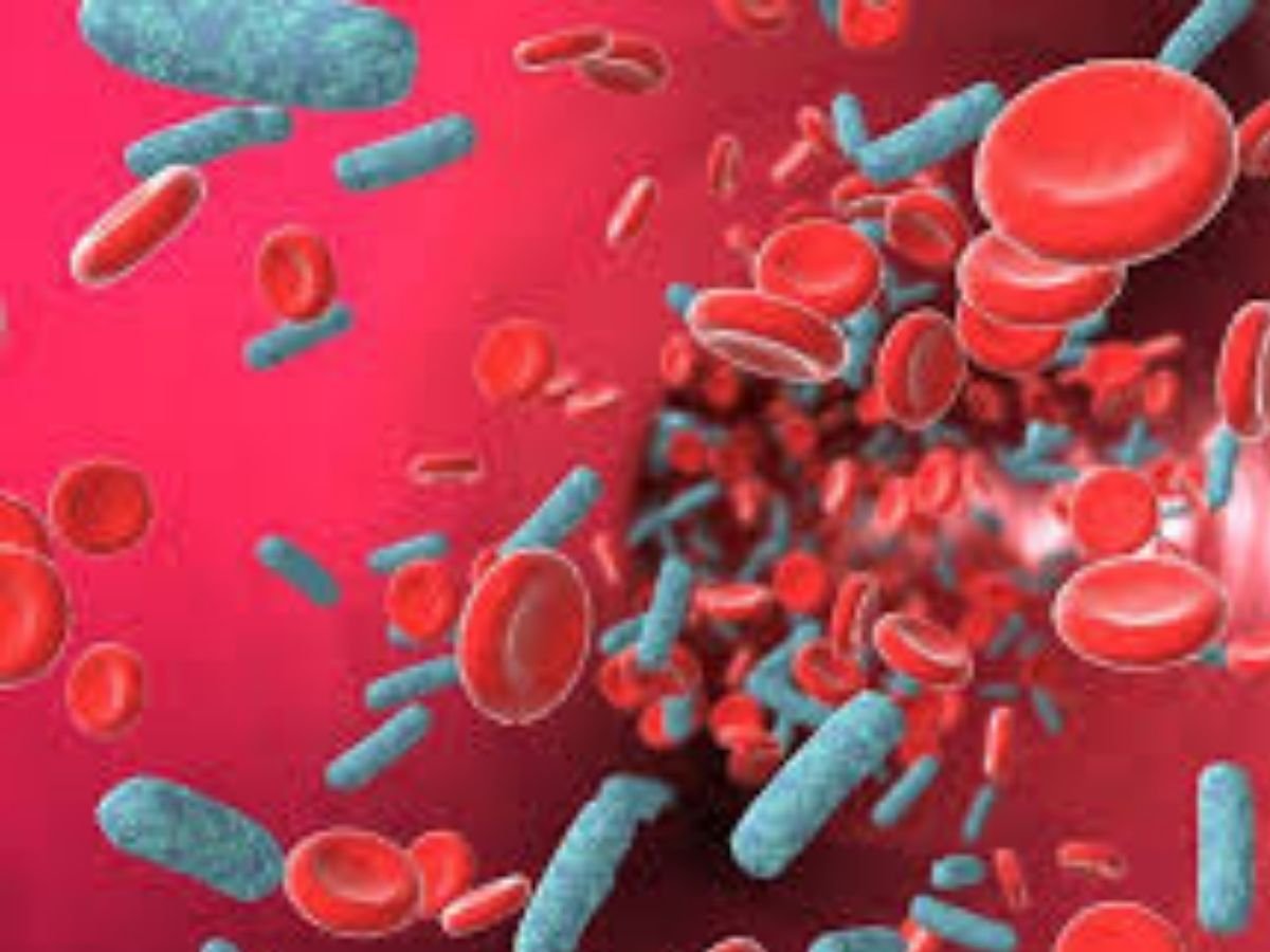 जानवरों से प्यार करते हैं तो हो जायें सावधान, जानलेवा हो सकता है यह संक्रमण