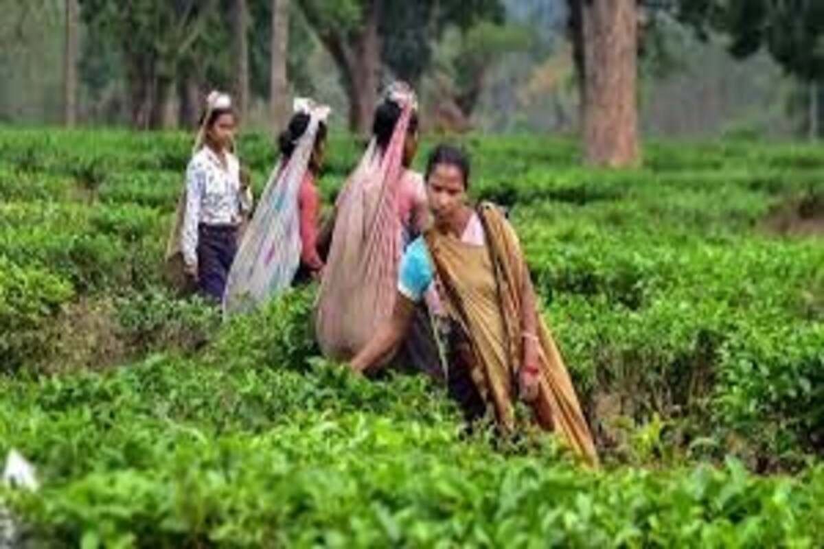 असम से लौटे झारखण्ड सीएम हेमंत सोरेन, ‘मिशन असम’ पर टिकी नजरें