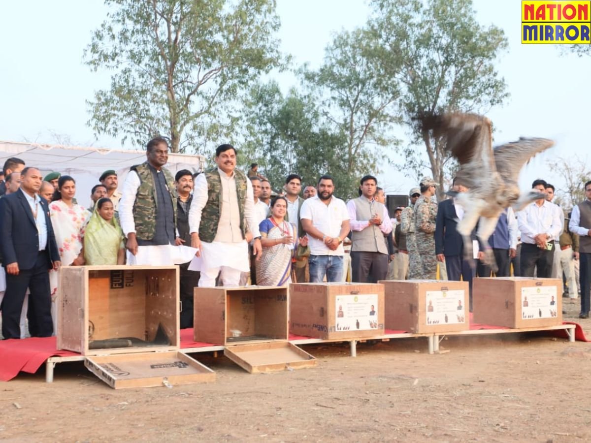 मुख्यमंत्री डॉ. मोहन यादव ने हलाली डेम में 5 लुप्तप्राय गिद्धों को किया मुक्त