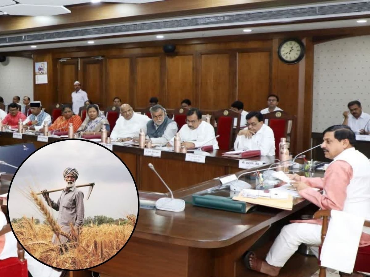 मोहन कैबिनेट में किसानों के लिए बड़ा फैसला,मसूर का उपार्जन करेगी सरकार 