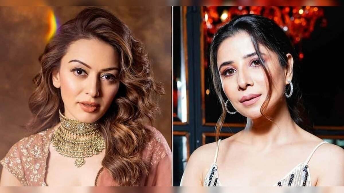 Actress Hansika Motwani slaps Rs 2 cr defamation suit against ex sister-in-law amid bitter legal row