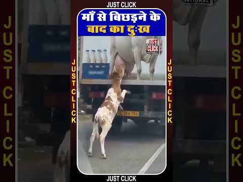 माँ से बिछड़ने के बाद का दुःख,