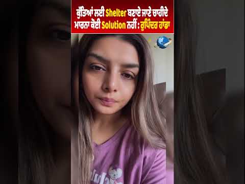 हर किसी को जीने का अधिकार है। कुछ कुत्तों के लिए सबको मार डालना न्याय नहीं है।